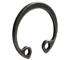 Rings Fasteners Manufacturers in India