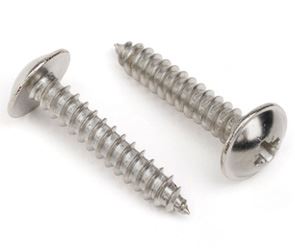 Self Tapping Screws Fasteners Manufacturers in India