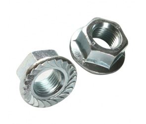 Flange Nuts Fasteners Manufacturers in India