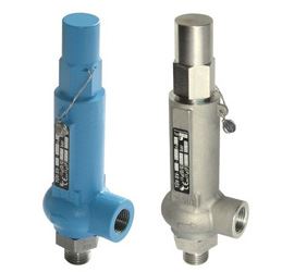 Safety Relief Valve (Type - TA 100) Manufacturer in India
