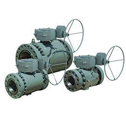 Trunnion Mounted Ball Valves - API 6A Manufacturer in India