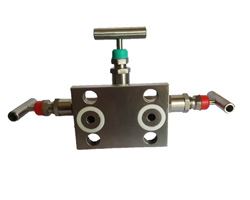 Manifold Valves Supplier in India