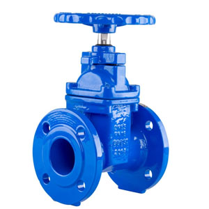 Resilient Gate Valves Manufacturer in India