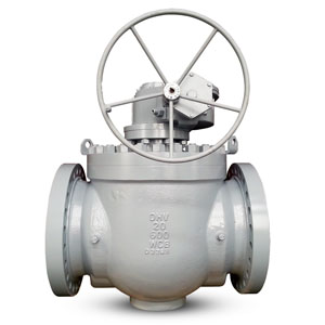 Top Entry Ball Valve Manufacturers in India